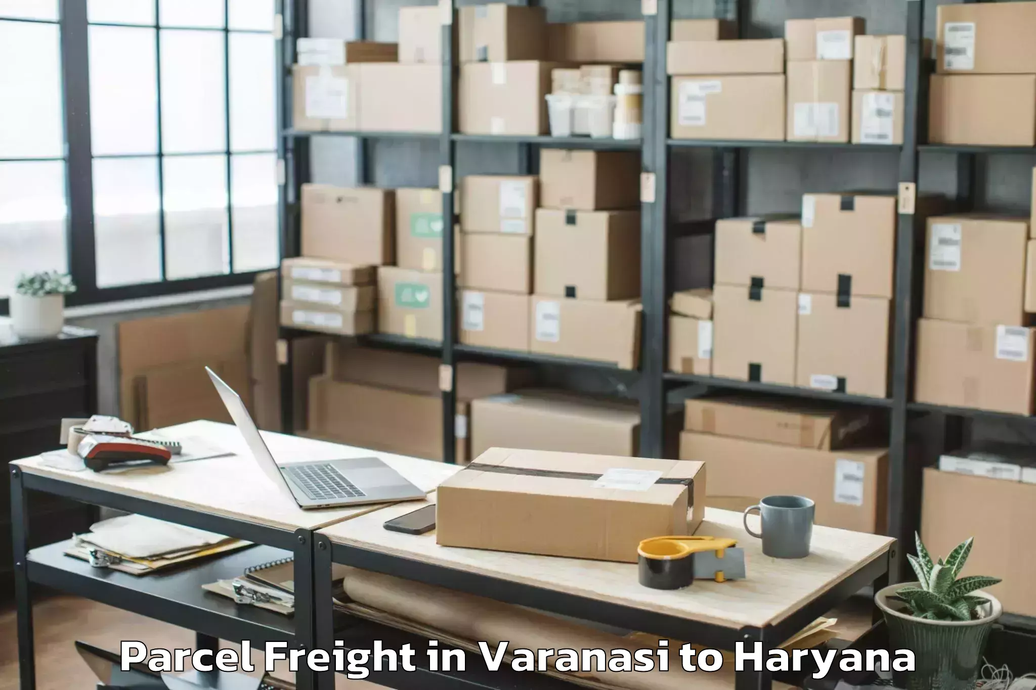 Easy Varanasi to Sushant University Gurgaon Parcel Freight Booking